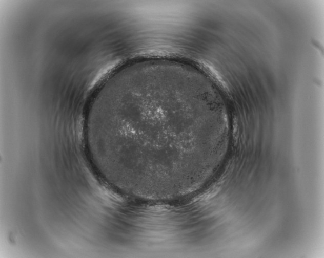 X0000096480396200802071924