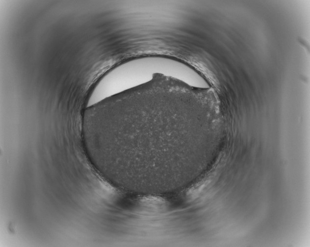 X0000096480397200802071924