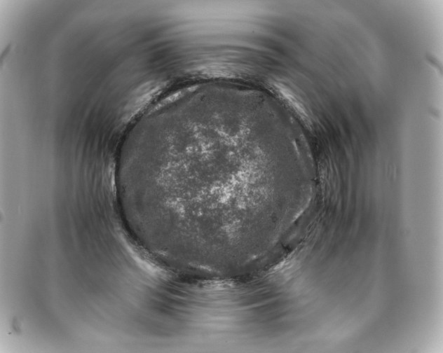 X0000096480398200802071924