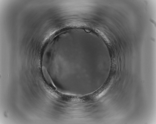 X0000096480399200802071924