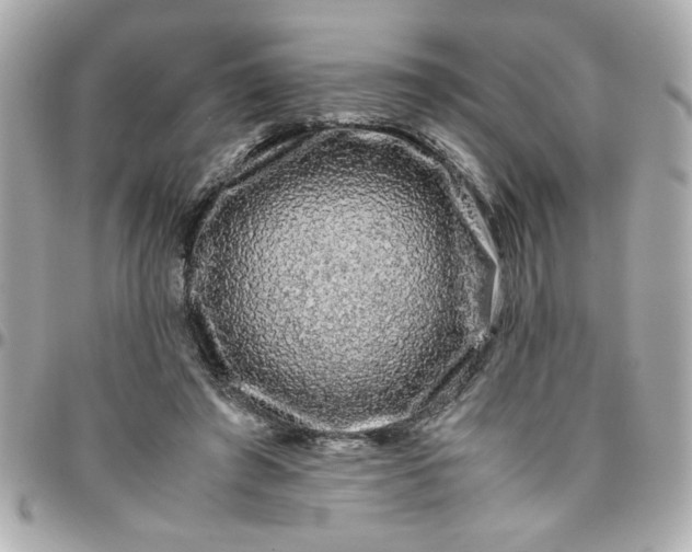 X0000096480401200802071924