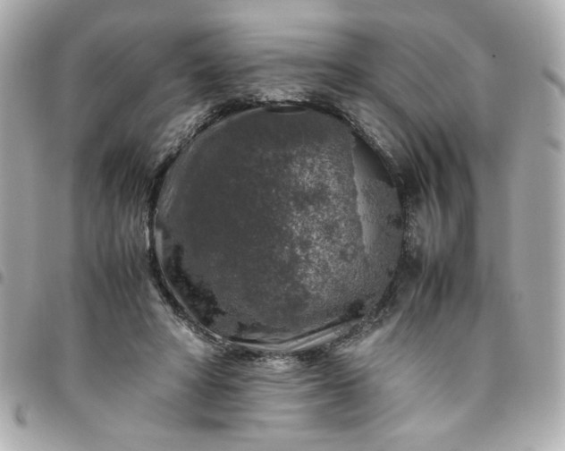 X0000096480402200802071924