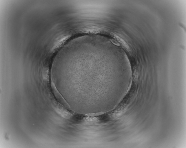 X0000096480403200802071924