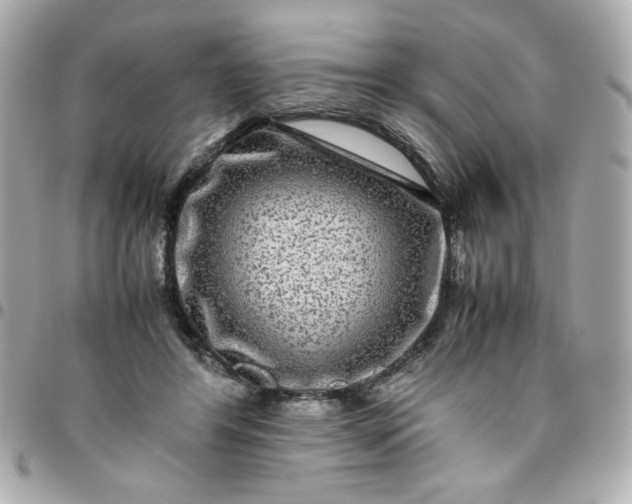 X0000096480404200802071924