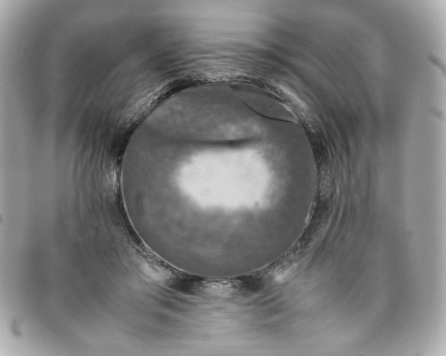 X0000096480405200802071924