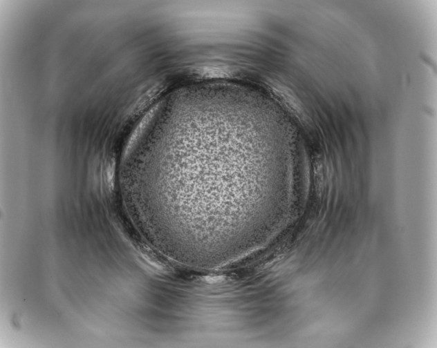 X0000096480406200802071924