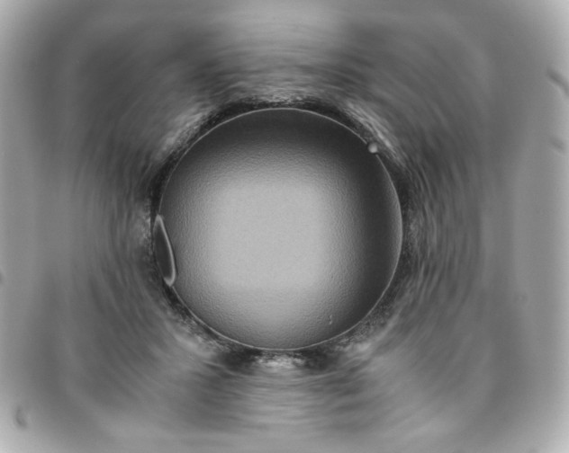 X0000096480407200802071924