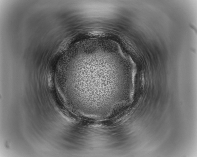 X0000096480408200802071924