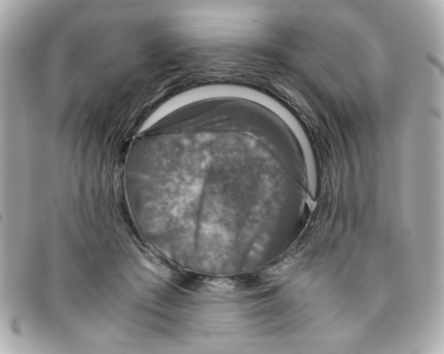 X0000096480409200802071924