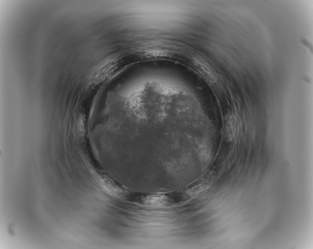 X0000096480410200802071924