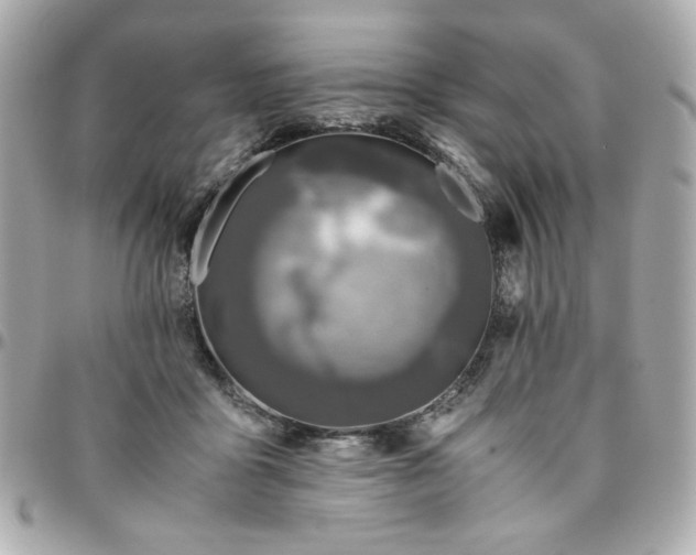 X0000096480411200802071924