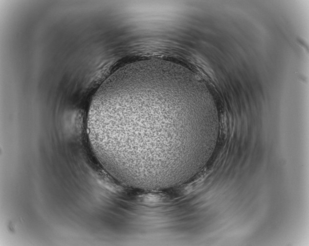 X0000096480412200802071924