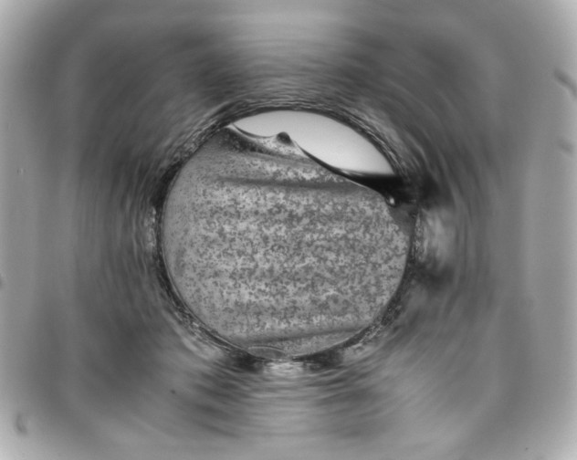 X0000096480413200802071924