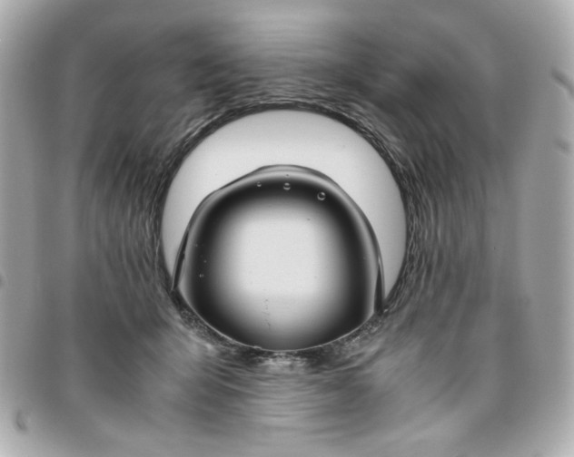 X0000096480415200802071924