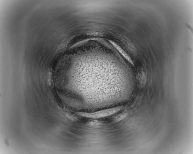 X0000096480416200802071924