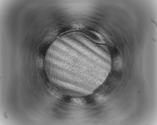 X0000096480417200802071924