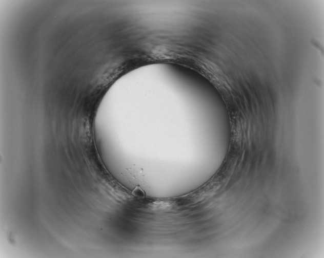 X0000096480418200802071924