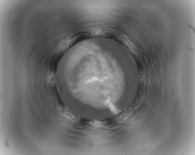 X0000096480419200802071924