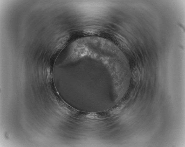 X0000096480420200802071924