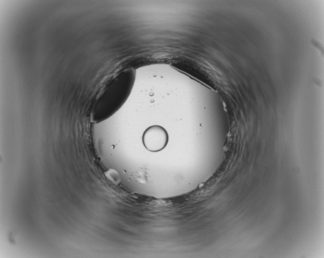 X0000096480421200802071924