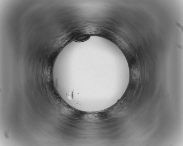 X0000096480422200802071924