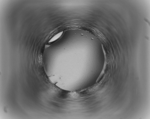 X0000096480425200802071924