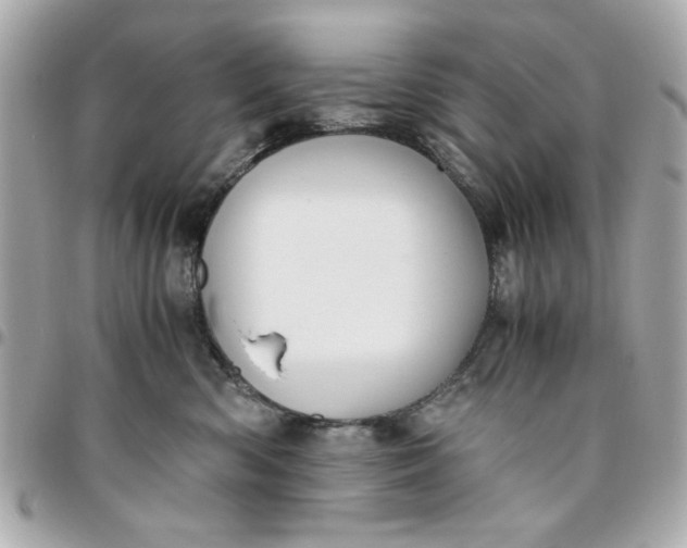 X0000096480426200802071924