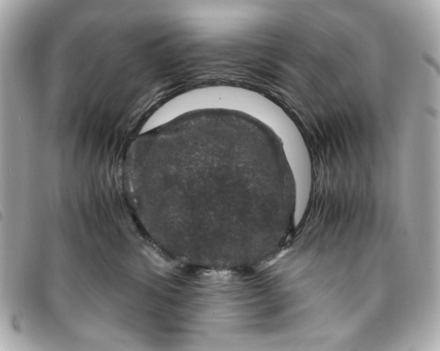 X0000096480428200802071924