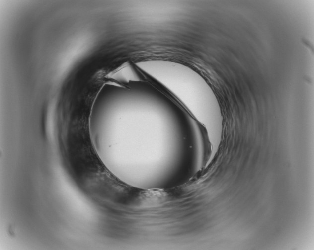 X0000096480429200802071924