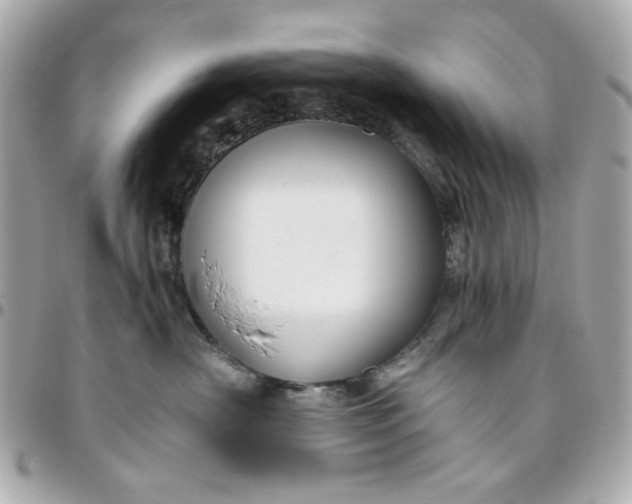 X0000096480430200802071924