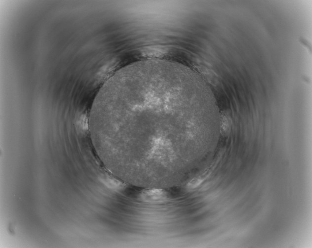 X0000096480431200802071924