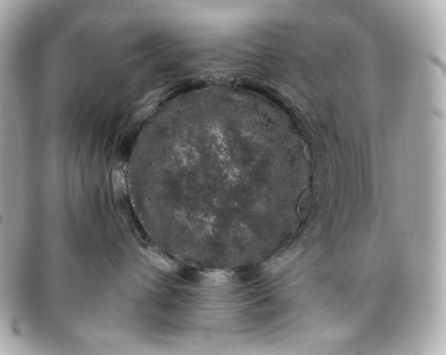 X0000096480432200802071924