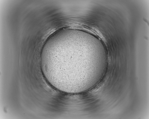 X0000096480433200802071923