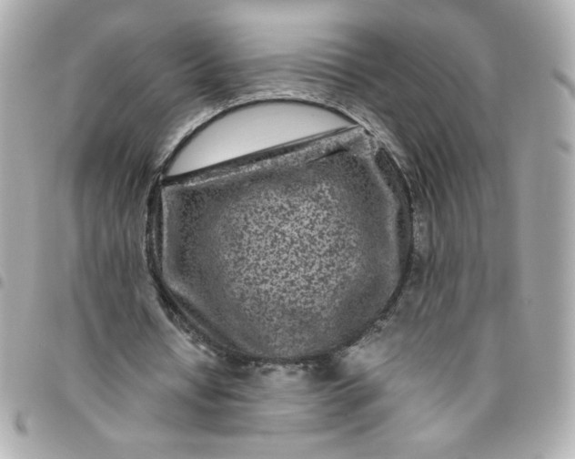 X0000096480434200802071923