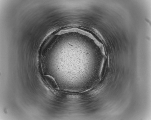 X0000096480435200802071923