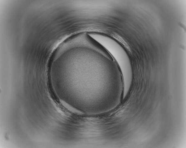 X0000096480436200802071923