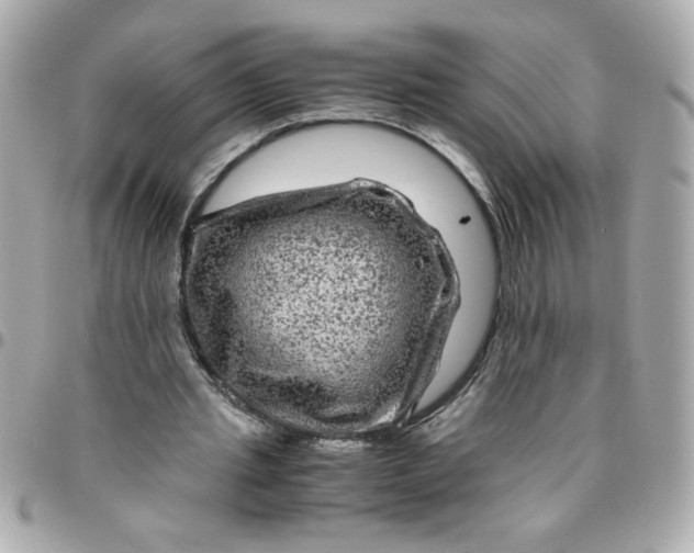 X0000096480437200802071923