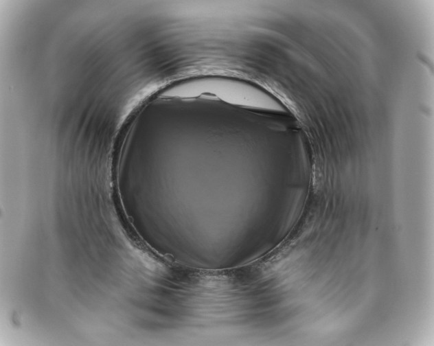 X0000096480438200802071923