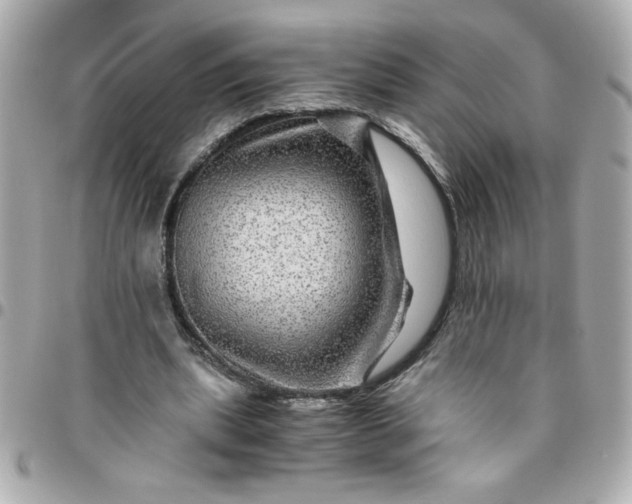 X0000096480439200802071923