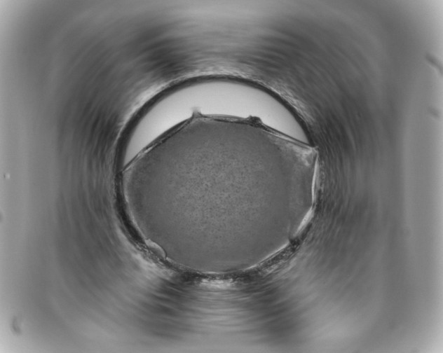 X0000096480440200802071923