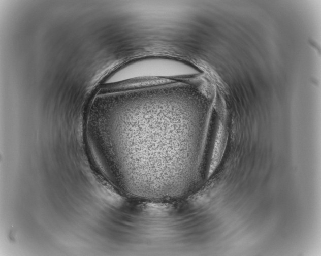 X0000096480442200802071923