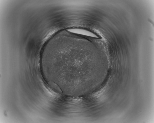 X0000096480443200802071923