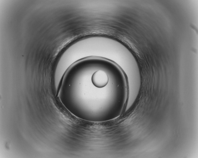 X0000096480444200802071923