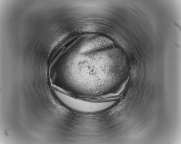 X0000096480446200802071924