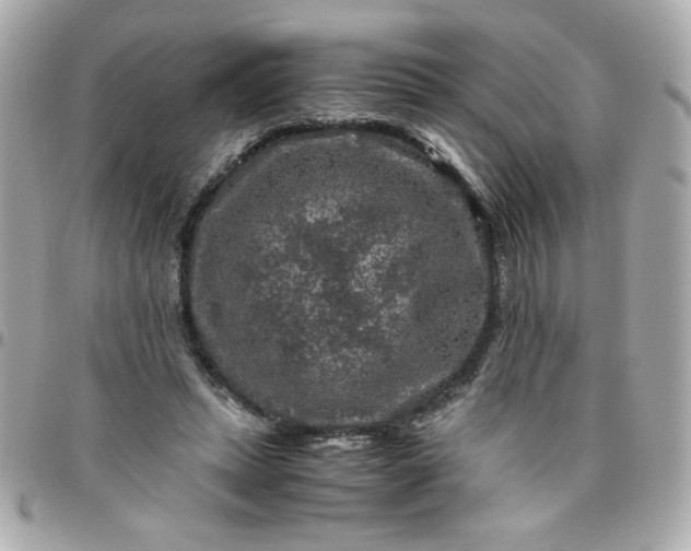 X0000096480447200802071924