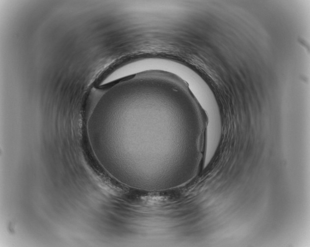 X0000096480448200802071924