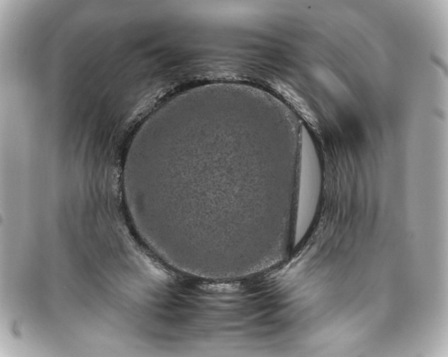 X0000096480449200802071924