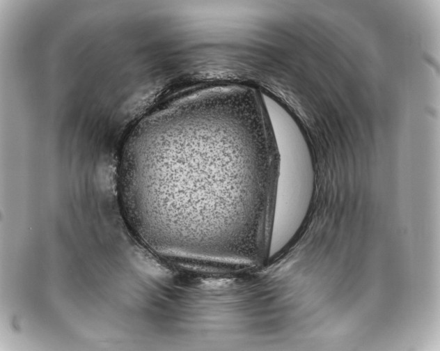 X0000096480450200802071924