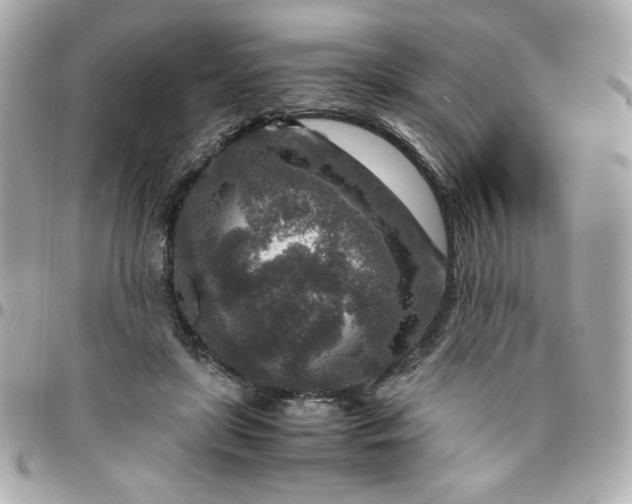 X0000096480451200802071924