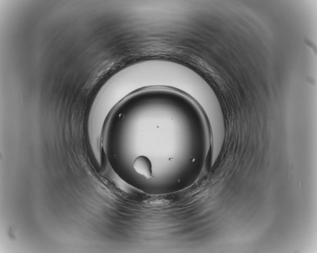 X0000096480452200802071924